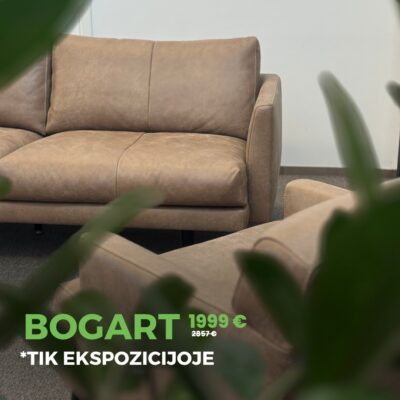 522114751 1351760620288767 1709224461306029797 n