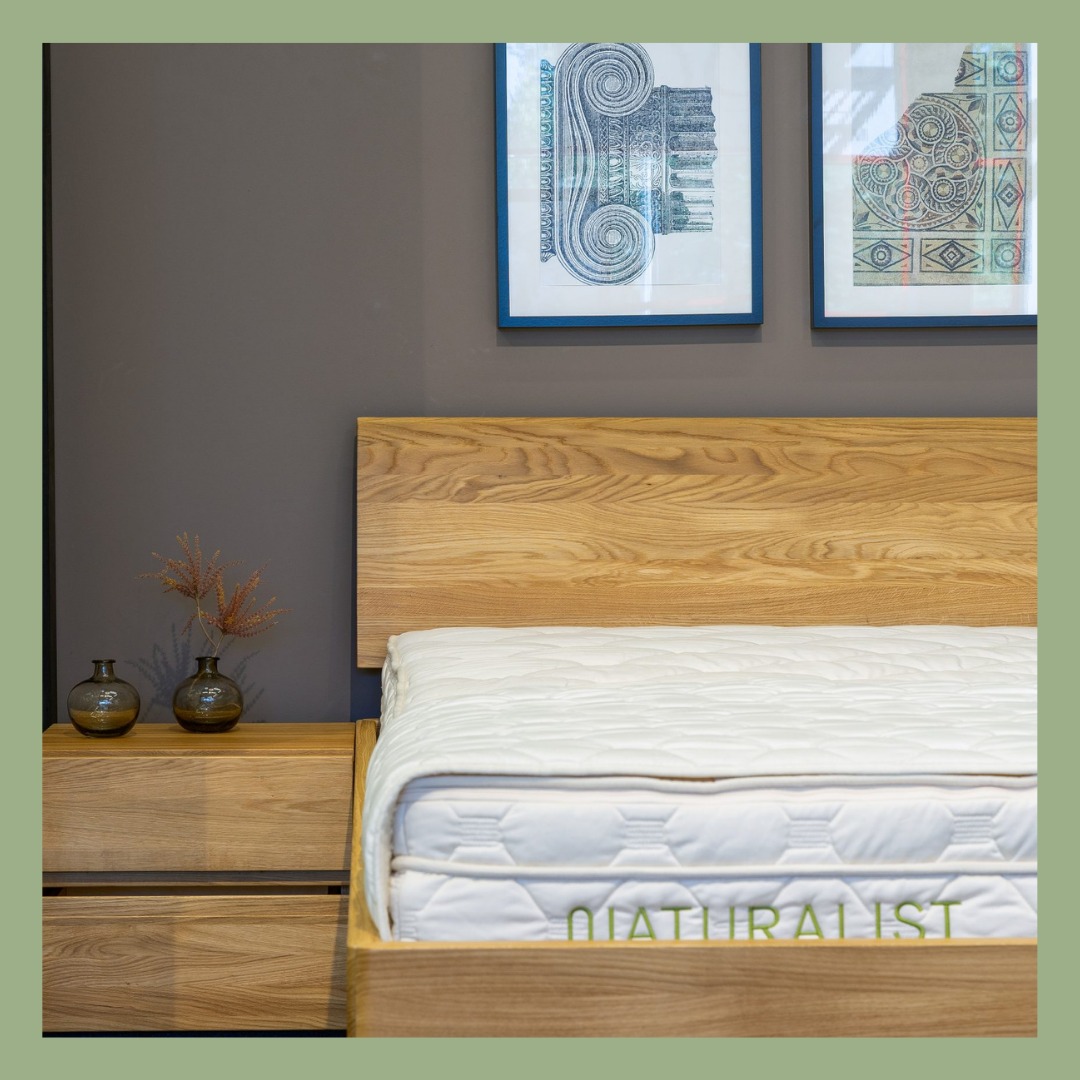 485654122 1237668148364682 7715858438475066939 n