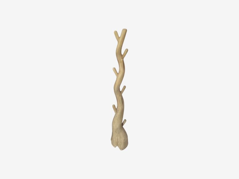SUAR pastatoma kabykla