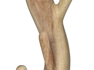 SUAR pastatoma kabykla