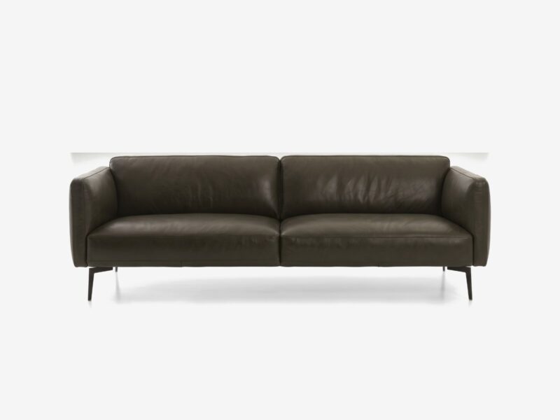 BROOKS odinė sofa BROOKS odinė sofa – Africa Darkgreen oda